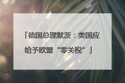 德国总理默茨：美国应给予欧盟“零关税”