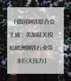 德国钢铁联合会主席：美加征关税给欧洲钢铁行业带来巨大压力