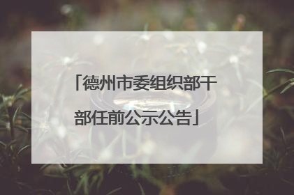 德州市委组织部干部任前公示公告