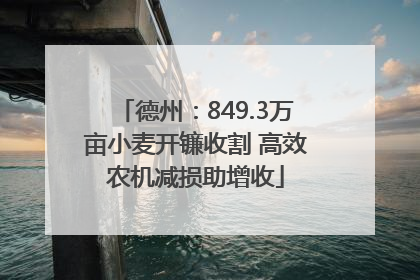 德州：849.3万亩小麦开镰收割 高效农机减损助增收