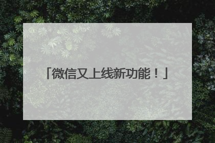 微信又上线新功能！