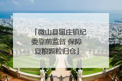 微山县留庄镇纪委靠前监督 保障夏粮颗粒归仓