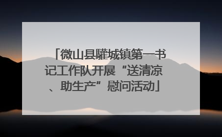 微山县驩城镇第一书记工作队开展“送清凉、助生产”慰问活动