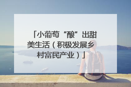 小葡萄“酿”出甜美生活（积极发展乡村富民产业）
