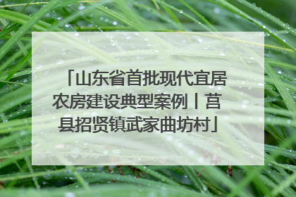 山东省首批现代宜居农房建设典型案例丨莒县招贤镇武家曲坊村