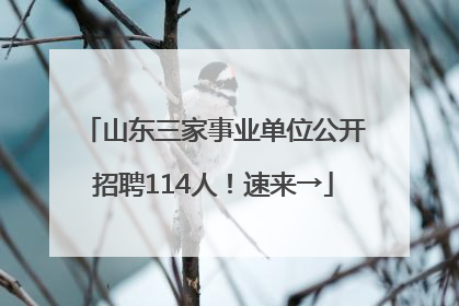 山东三家事业单位公开招聘114人！速来→