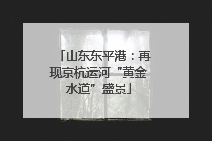山东东平港：再现京杭运河“黄金水道”盛景