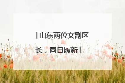 山东两位女副区长，同日履新