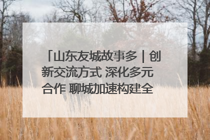 山东友城故事多｜创新交流方式 深化多元合作 聊城加速构建全球友城新格局