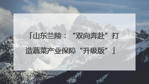 山东兰陵：“双向奔赴”打造蔬菜产业保障“升级版”
