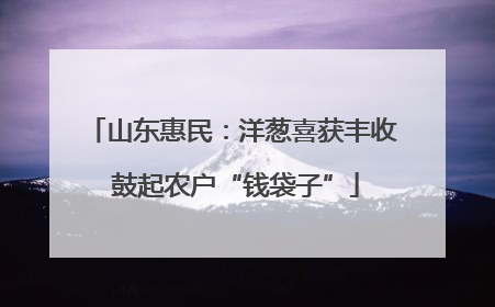 山东惠民：洋葱喜获丰收 鼓起农户“钱袋子”