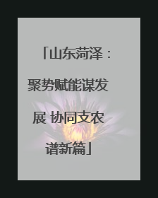 山东菏泽：聚势赋能谋发展 协同支农谱新篇