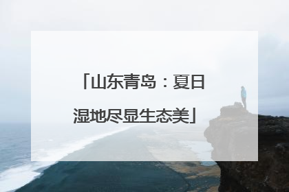 山东青岛：夏日湿地尽显生态美