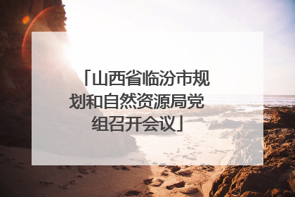 山西省临汾市规划和自然资源局党组召开会议