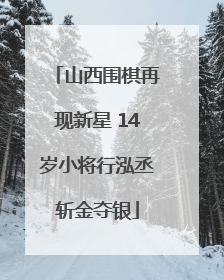 山西围棋再现新星 14岁小将行泓丞斩金夺银