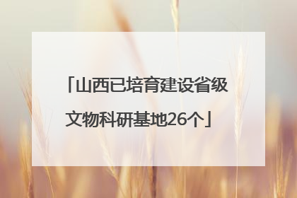 山西已培育建设省级文物科研基地26个