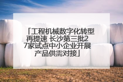工程机械数字化转型再提速 长沙第三批27家试点中小企业开展产品供需对接
