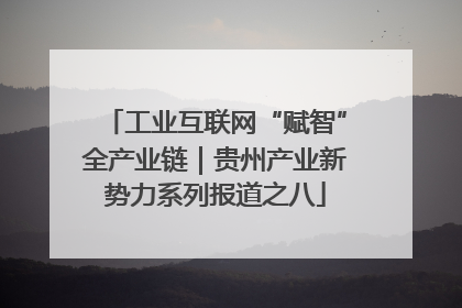 工业互联网“赋智”全产业链｜贵州产业新势力系列报道之八
