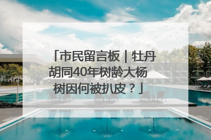 市民留言板｜牡丹胡同40年树龄大杨树因何被扒皮？