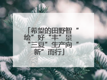 希望的田野智“绘”好“丰”景 “三夏”生产向“新”而行