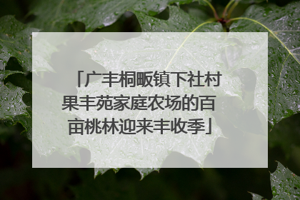 广丰桐畈镇下社村果丰苑家庭农场的百亩桃林迎来丰收季