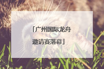 广州国际龙舟邀请赛落幕
