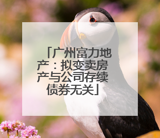 广州富力地产：拟变卖房产与公司存续债券无关