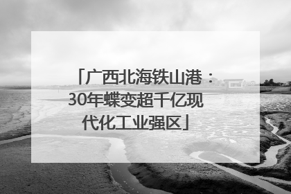 广西北海铁山港：30年蝶变超千亿现代化工业强区