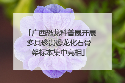 广西恐龙科普展开展 多具珍贵恐龙化石骨架标本集中亮相