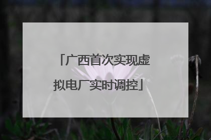 广西首次实现虚拟电厂实时调控