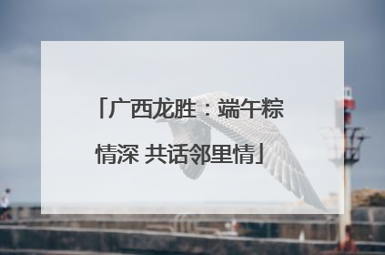 广西龙胜：端午粽情深 共话邻里情