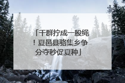干群拧成一股绳！夏邑县骆集乡争分夺秒促夏种