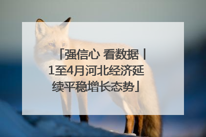 强信心 看数据丨1至4月河北经济延续平稳增长态势