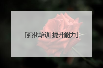 强化培训 提升能力