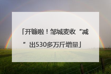 开镰啦！邹城麦收“减”出530多万斤增量