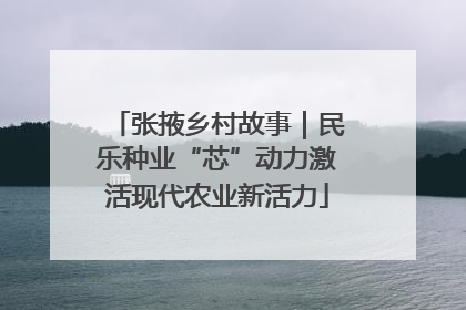 张掖乡村故事｜民乐种业“芯”动力激活现代农业新活力