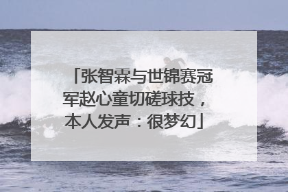 张智霖与世锦赛冠军赵心童切磋球技，本人发声：很梦幻