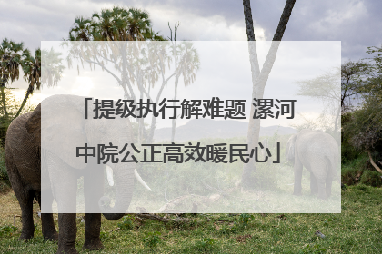 提级执行解难题 漯河中院公正高效暖民心