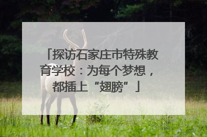 探访石家庄市特殊教育学校：为每个梦想，都插上“翅膀”