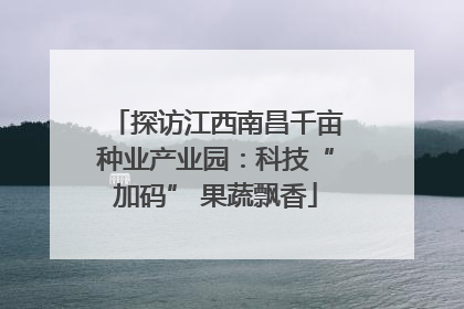 探访江西南昌千亩种业产业园：科技“加码” 果蔬飘香