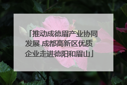 推动成德眉产业协同发展 成都高新区优质企业走进德阳和眉山