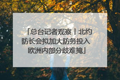 总台记者观察丨北约防长会拟加大防务投入 欧洲内部分歧难掩