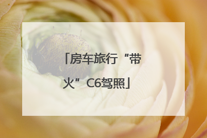 房车旅行“带火”C6驾照