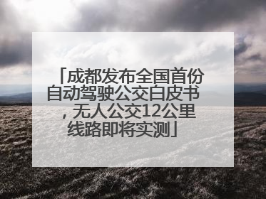 成都发布全国首份自动驾驶公交白皮书，无人公交12公里线路即将实测