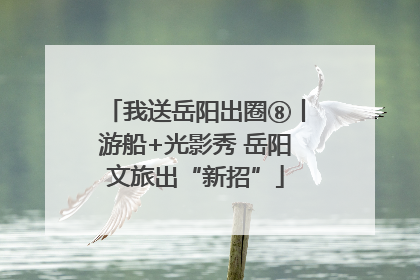 我送岳阳出圈⑧丨游船+光影秀 岳阳文旅出“新招”