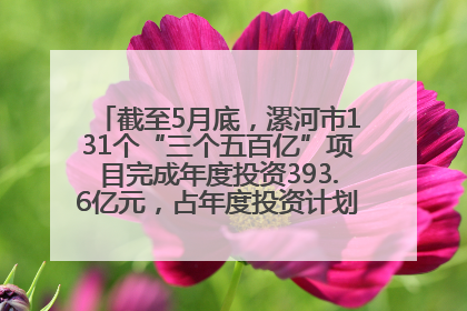 截至5月底，漯河市131个“三个五百亿”项目完成年度投资393.6亿元，占年度投资计划的50.41%——“三个五百亿”项目带动产业提质升级