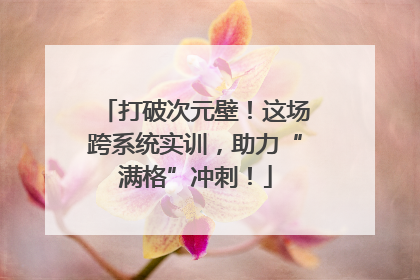 打破次元壁！这场跨系统实训，助力“满格”冲刺！