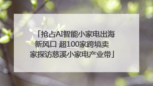 抢占AI智能小家电出海新风口 超100家跨境卖家探访慈溪小家电产业带