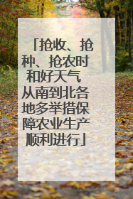 抢收、抢种、抢农时和好天气 从南到北各地多举措保障农业生产顺利进行