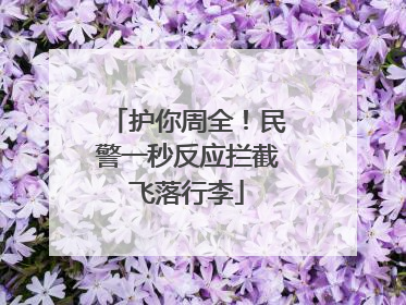 护你周全！民警一秒反应拦截飞落行李